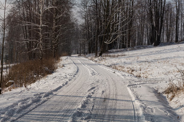 Winter landscape with snowy trees and snowmobile path