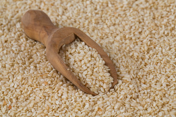 sesame seeds isolated on white