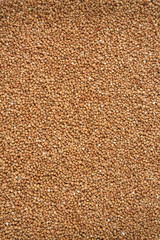 buckwheat background