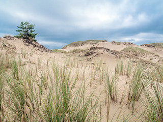 Moving dune formations - Slowinski National Park, Poland