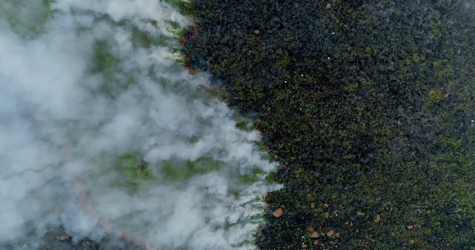 Vertical aerial shot flying over burning green grass high contrast 4K