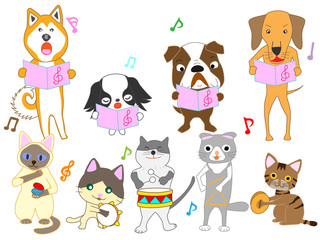 猫と犬のコンサート。