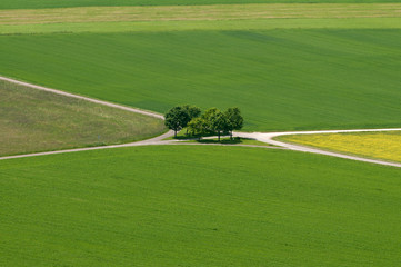 Fototapeta premium Landschaft auf der Schwäbischen Alb