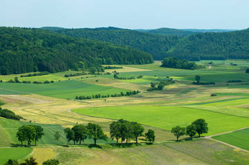 Fototapeta na wymiar Landschaft auf der Schwäbischen Alb