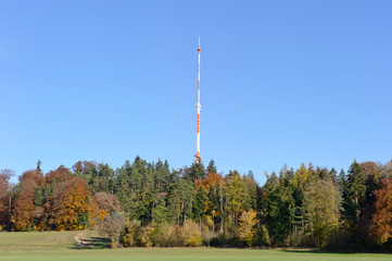 Obraz premium Raichberg mit SWR-Sendemast