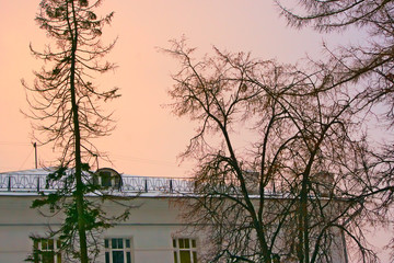 Городские дома на рассвете.