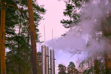 Трубы с дымом среди деревьев в лесу.