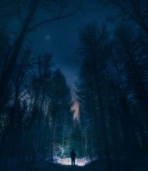 Surreal night forest landscape with alone strange man with flashlight. - 191689947
