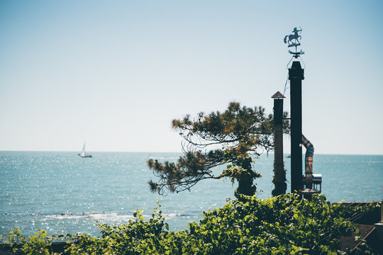 Fairy view of two funnels with weathercock in the form of centaur on the top tiny near cedar tree; roof of house on shore overgrown with convolvulus with sea and sailing yacht in defocused background