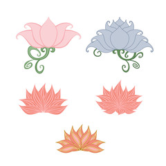 Lotus. Set of vector stylized image of a Lotus flower isolated.