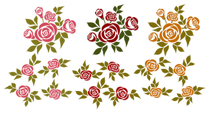 Set of roses. Vector set of isolated bouquets of roses and design elements.