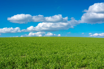 Horizontal View of a Countryside Landscape With a Green Meadow on Cloudy Sky Background in a Sunny Day. Matera, South of Italy