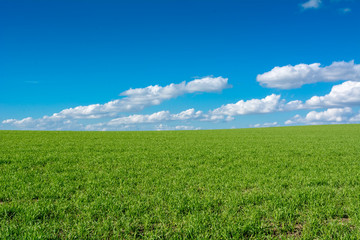 Horizontal View of a Countryside Landscape With a Green Meadow on Cloudy Sky Background in a Sunny Day. Matera, South of Italy