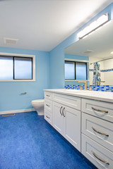 Gorgeous bathroom with blue walls