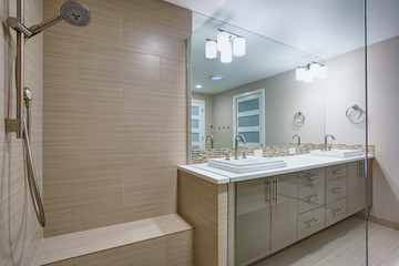 Modern refreshing bathroom with a walk-in shower.