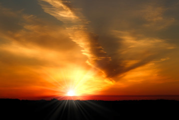 A dramatic yellow and orange bursting sunset with wispy clouds over a black forest