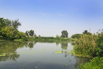 Fototapeta premium Slow large river