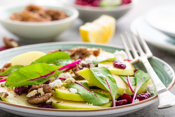 Healthy fruit salad with fresh green apple, cranberry, walnuts, cheese and mangold leaves. Diet menu