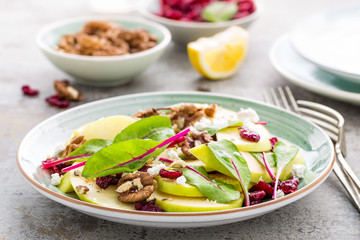 Healthy fruit salad with fresh green apple, cranberry, walnuts, cheese and mangold leaves. Diet menu