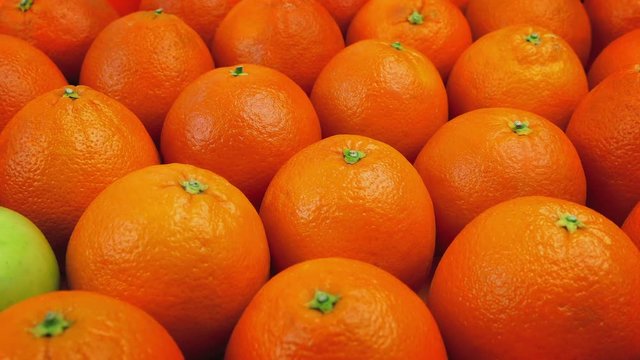 Green Apple Amongst Oranges - Odd One Out Concept