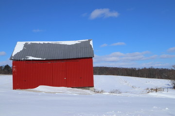 Red shed in a snowy field