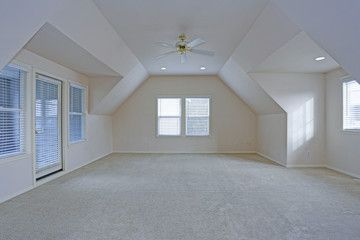 Empty room interior with vaulted ceiling