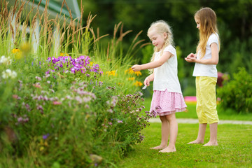 Two cute little sisters playing in a backyard. Children admiring blossoming flowers bed.