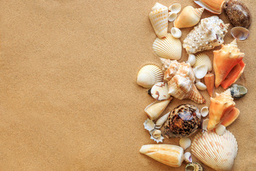 Fototapeta na wymiar Sand And Seashells