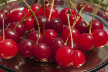 Cherries are Siamese twins. The fruit in the dish.