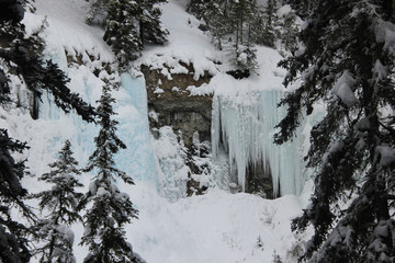 Johnston Canyon