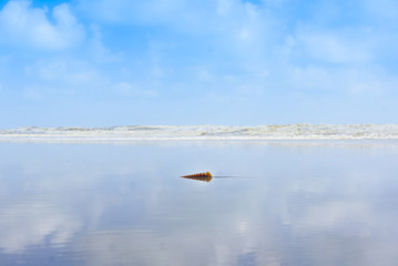 Seashell On The Beach With Bright Blue Sky Background , Holiday Concept