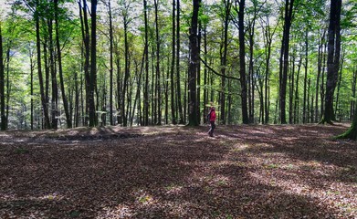 Long pleasant path for a relaxing walk in the forest. Woman in the pink jacket