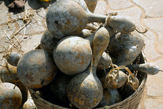B&eacute;nin, calebasses