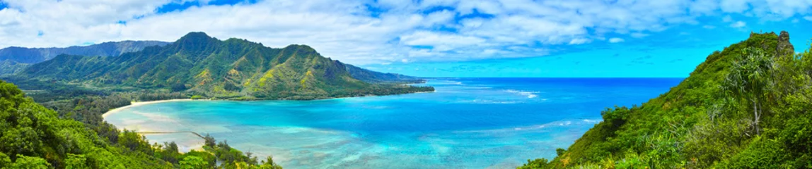 Foto op Plexiglas ハワイ　クラウチング・ライオン岩ハイキングからの風景   © 7maru