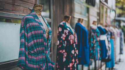 Mannequin ; Female Mannequin Torso Clothing Display