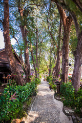 Trail at Long beach on  Ko Phi Phi island, Thailand.