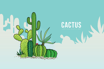 Vector of cactus plants pattern background. © Manovector