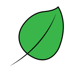 Naklejka premium green leaf natural foliage decoration icon vector illustration
