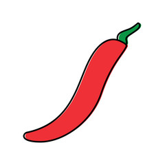 chili pepper vegetable fresh condiment food vector illustration