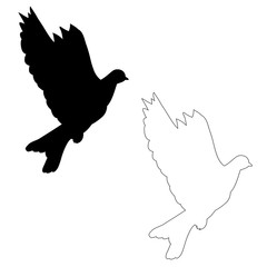 silhouette of flying bird