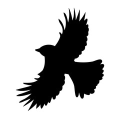 silhouette of flying bird