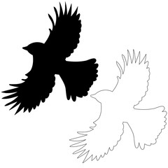 vector, isolated silhouette of flying bird