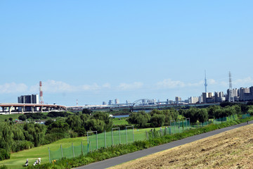 Obraz premium 荒川河川敷 鹿浜橋方面 東京スカイツリー