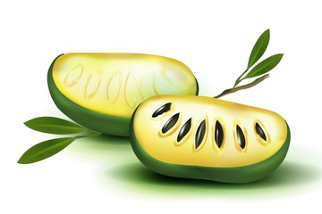 Photo Realistic 3d vector pulp and seeds with leaves isolated on white background papaya papaw fruit (asimina triloba), custard apple, or pawpaw plant Carica papaya, genus Carica 