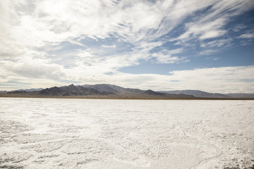 Desert Saltflats