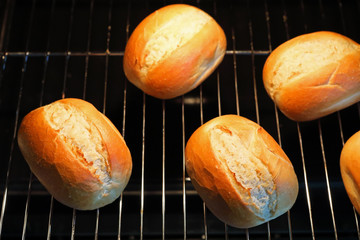Brötchen zum aufbacken