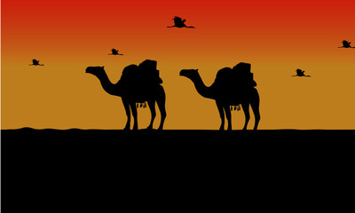 Fototapeta na wymiar camel and bird