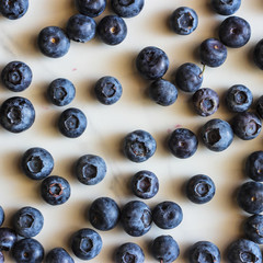 Freshly picked blueberries. Ripe and juicy fresh picked bilberries close up.