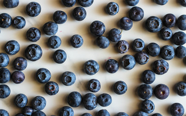 Freshly picked blueberries. Ripe and juicy fresh picked bilberries close up.