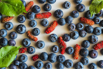 Freshly picked blueberries. Ripe and juicy fresh picked bilberries close up.